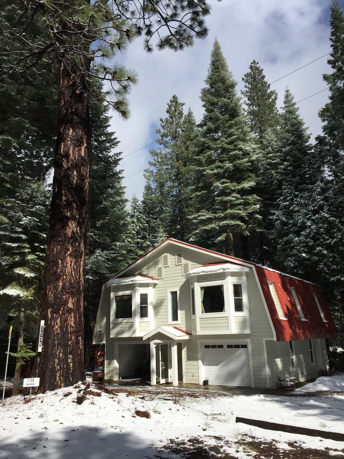 Snowy exterior of the house among tall trees