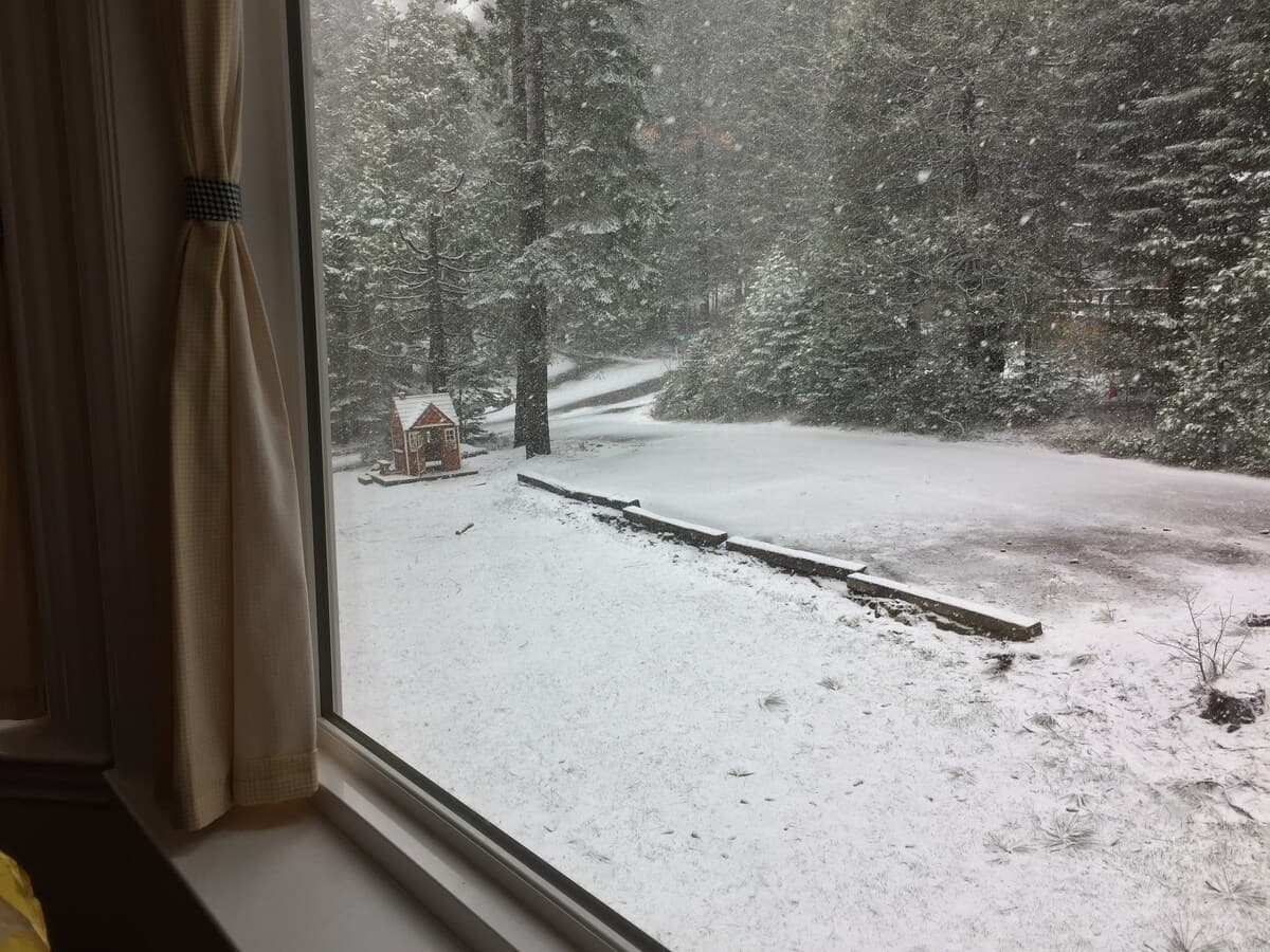 Snowy view from inside the house looking out toward the trees